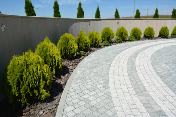 Reasons to Select Us for Your Driveway Paving Requirements in Colleyville, TX